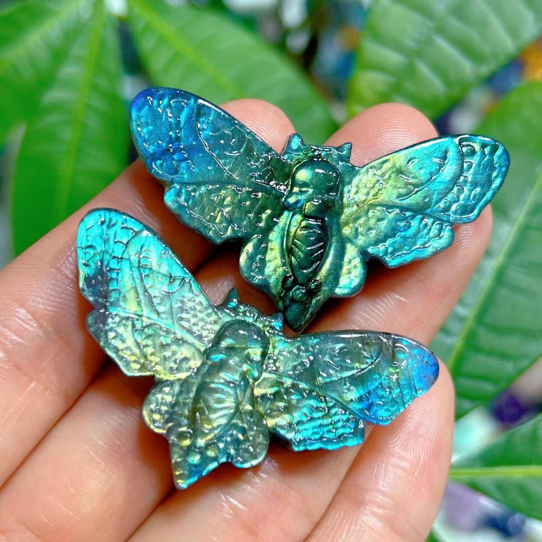 moth skull carving