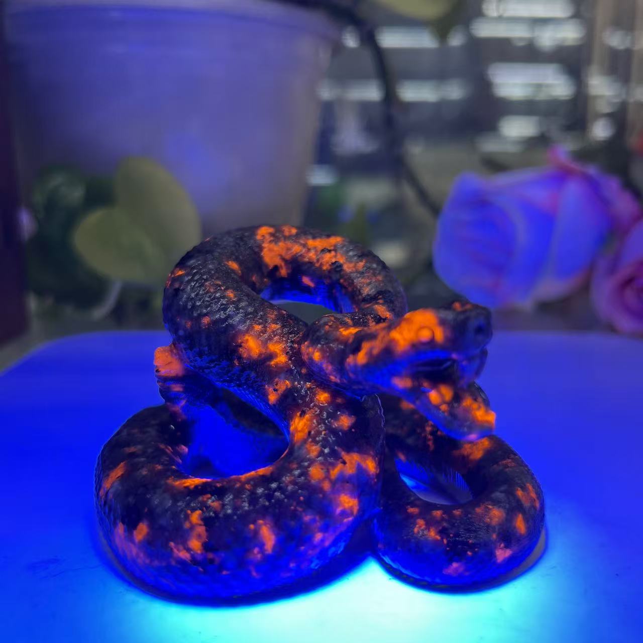 Coiling Snake Carving