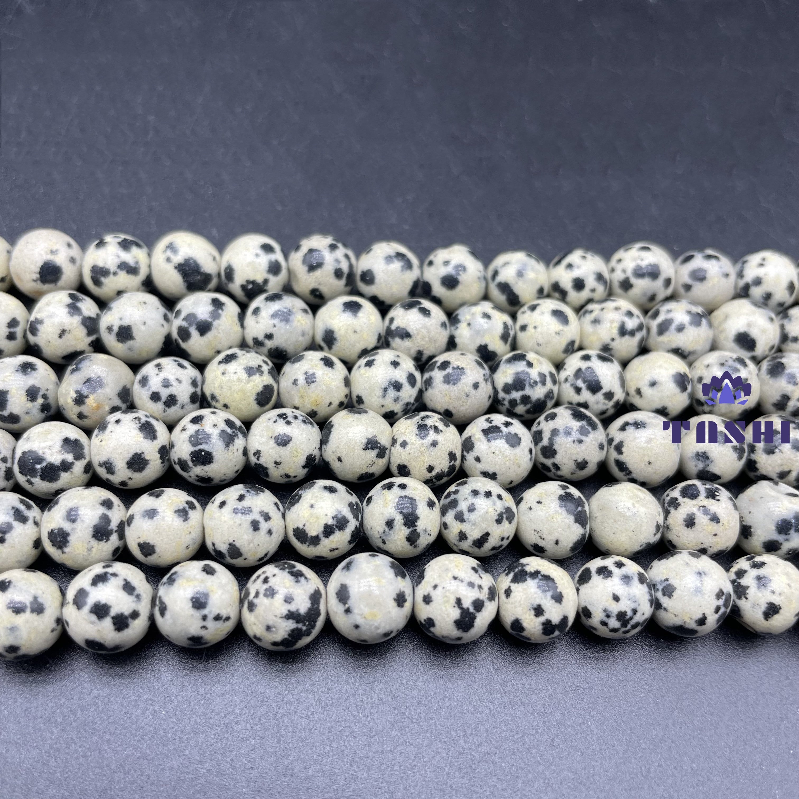 Dalmatian Jasper Beads Strands