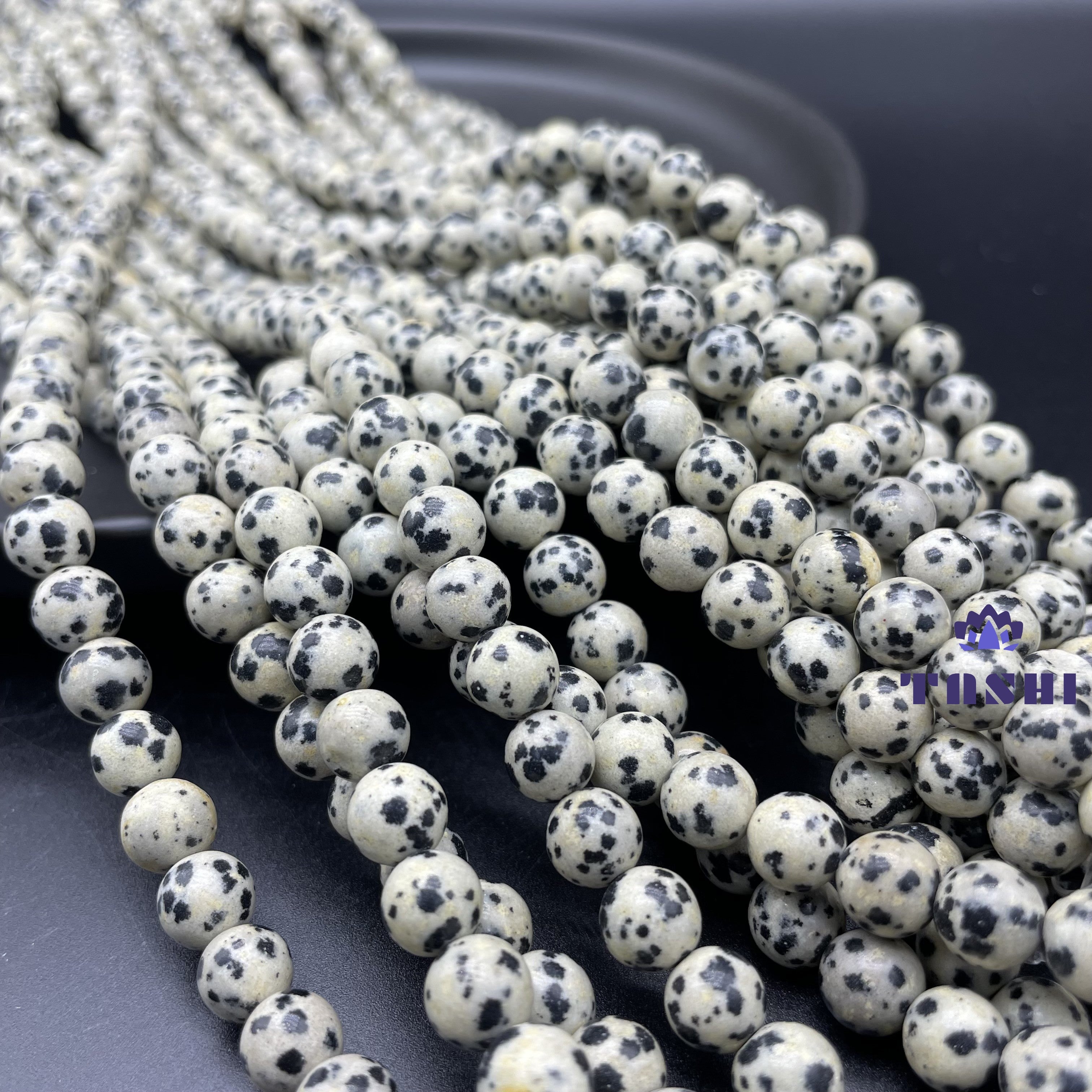 Dalmatian Jasper Beads Strands