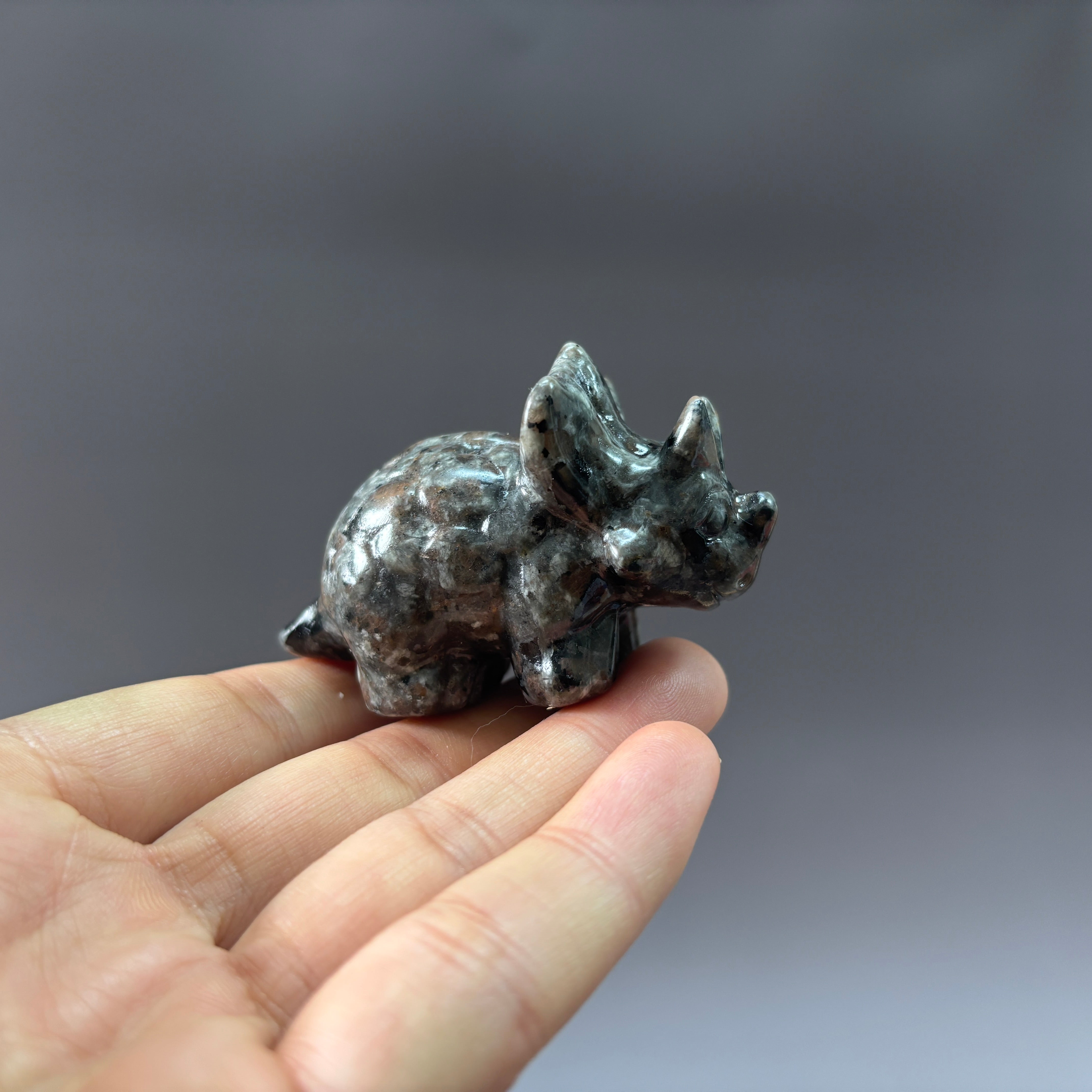 6CM Triceratops Carving