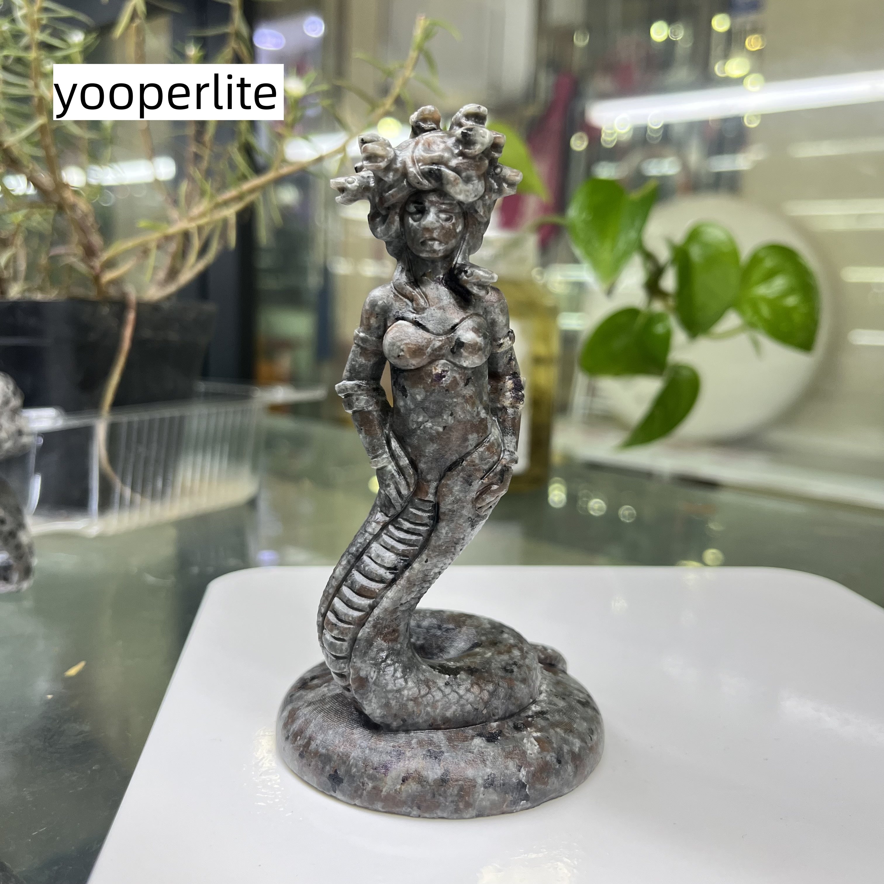 Medusa Carving