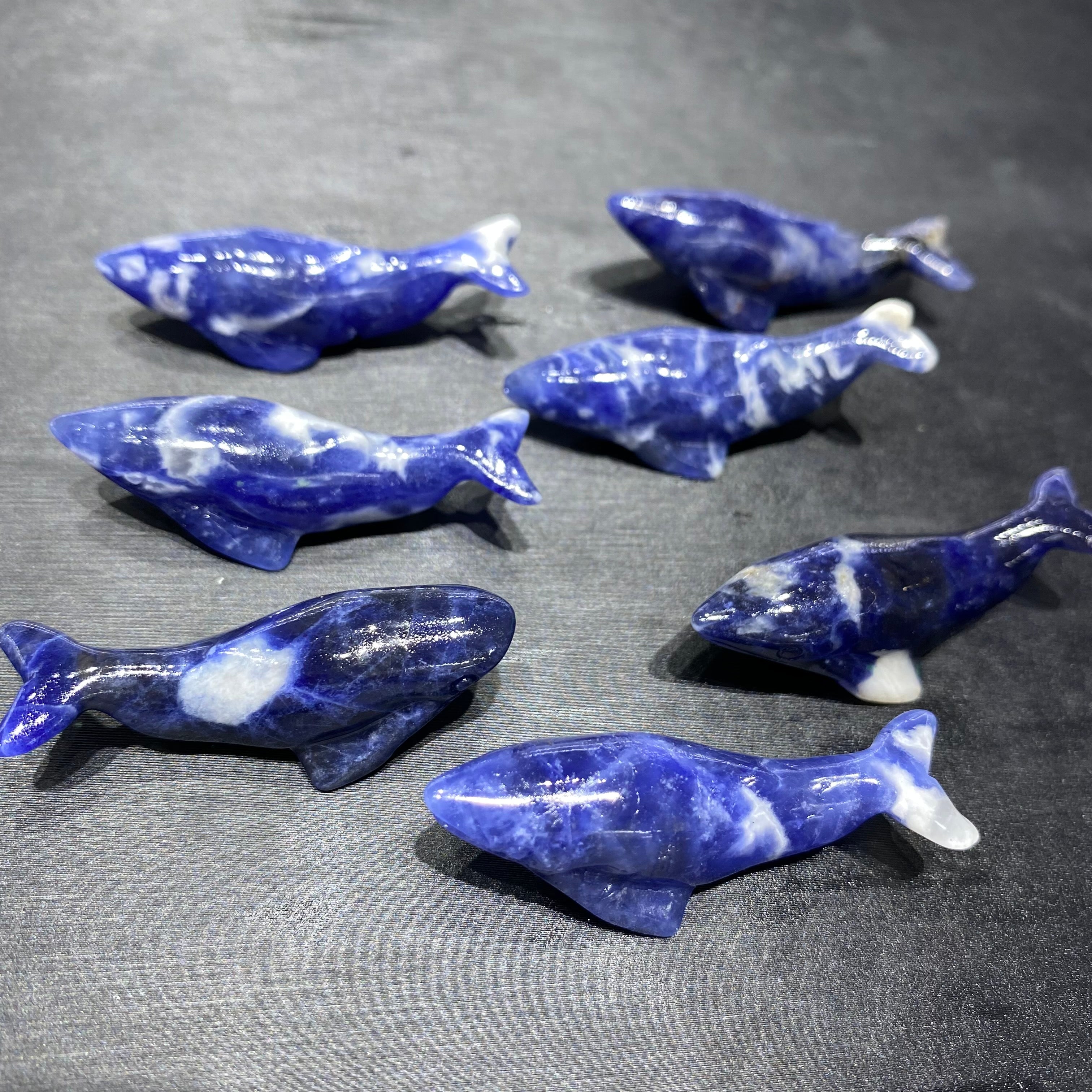 Natural Sodalite Blue Whale Carving