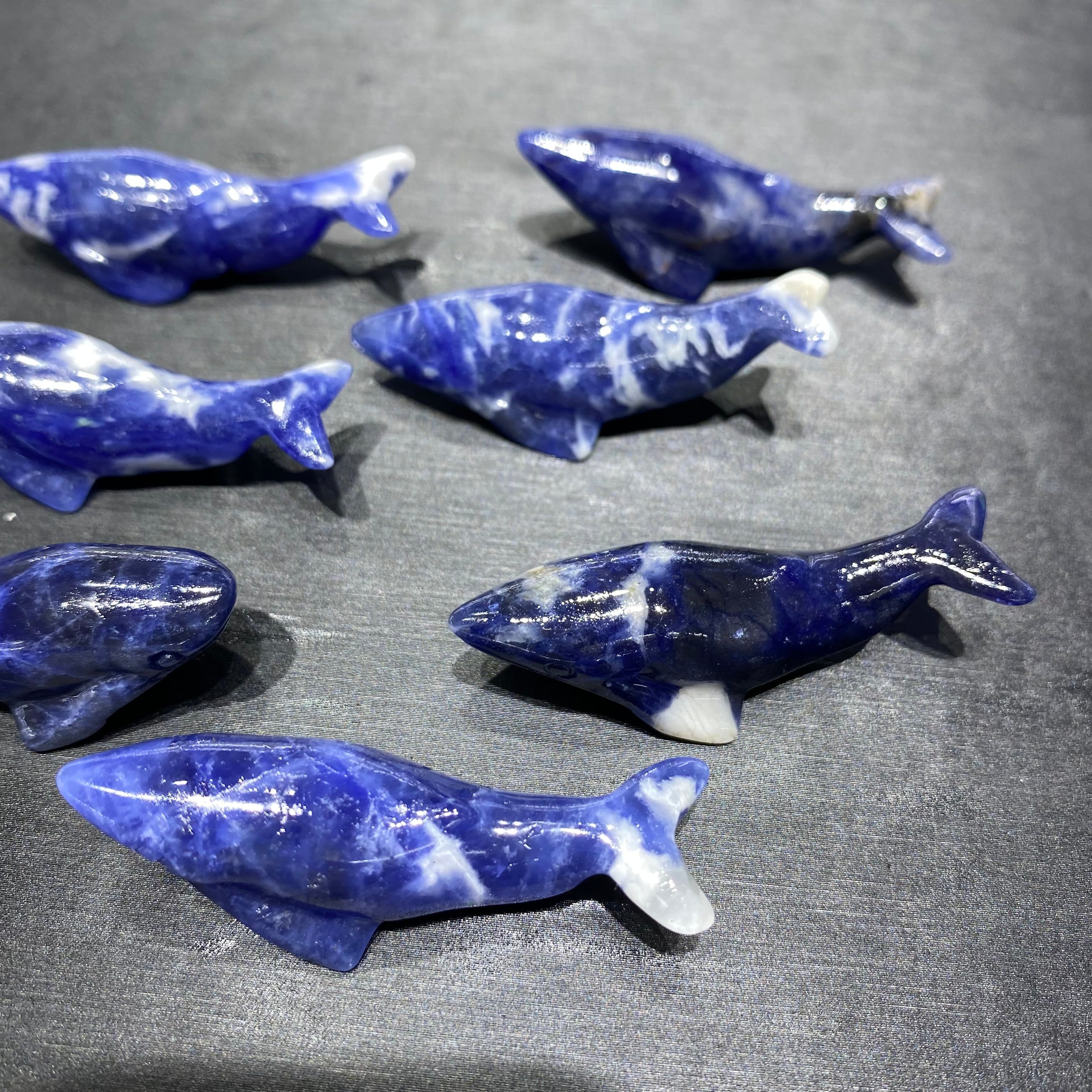 Natural Sodalite Blue Whale Carving