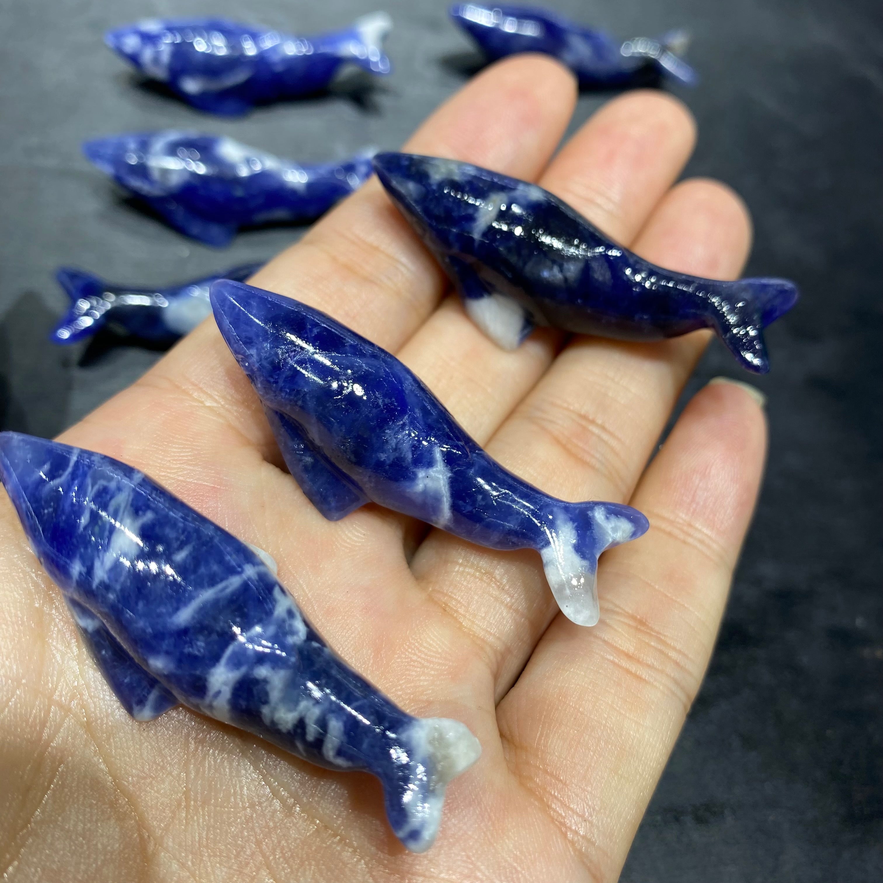 Natural Sodalite Blue Whale Carving