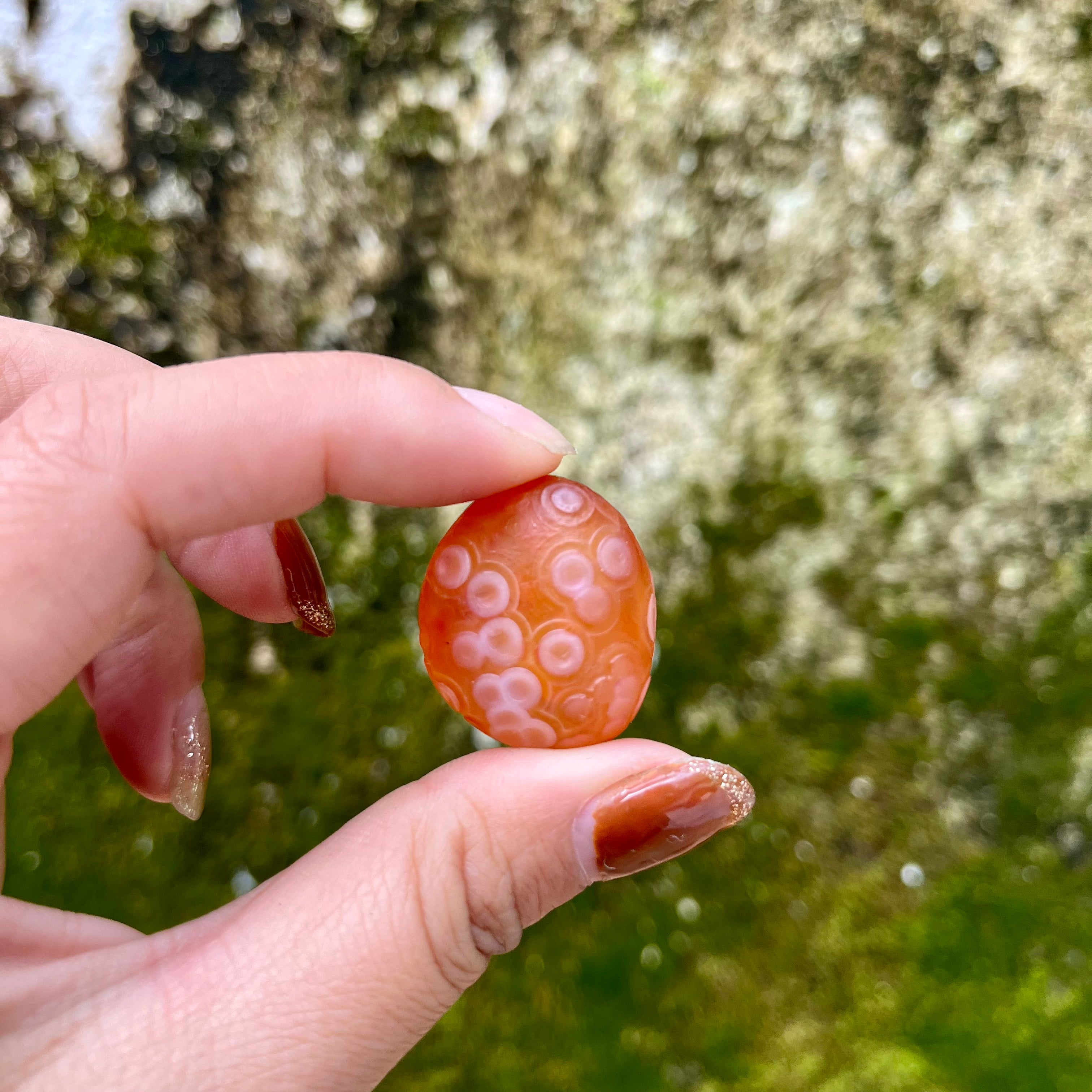 Gobi Agate Tumbles