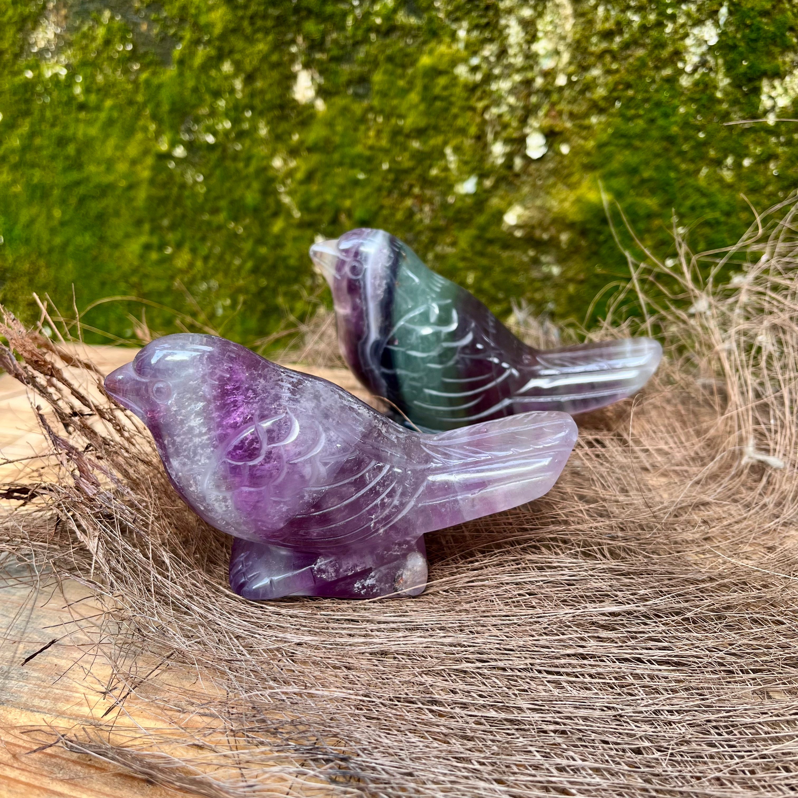 Bird Carving