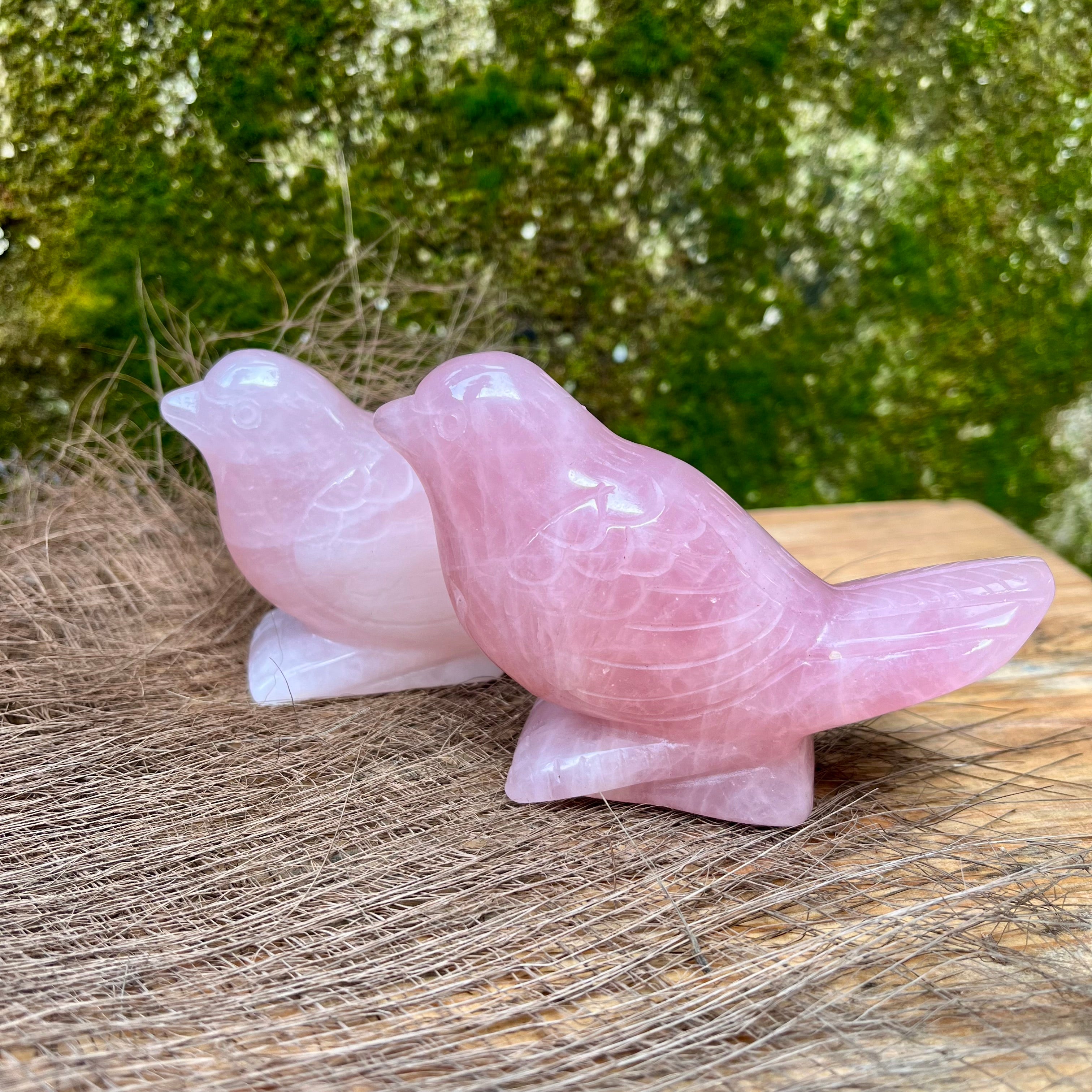 Bird Carving