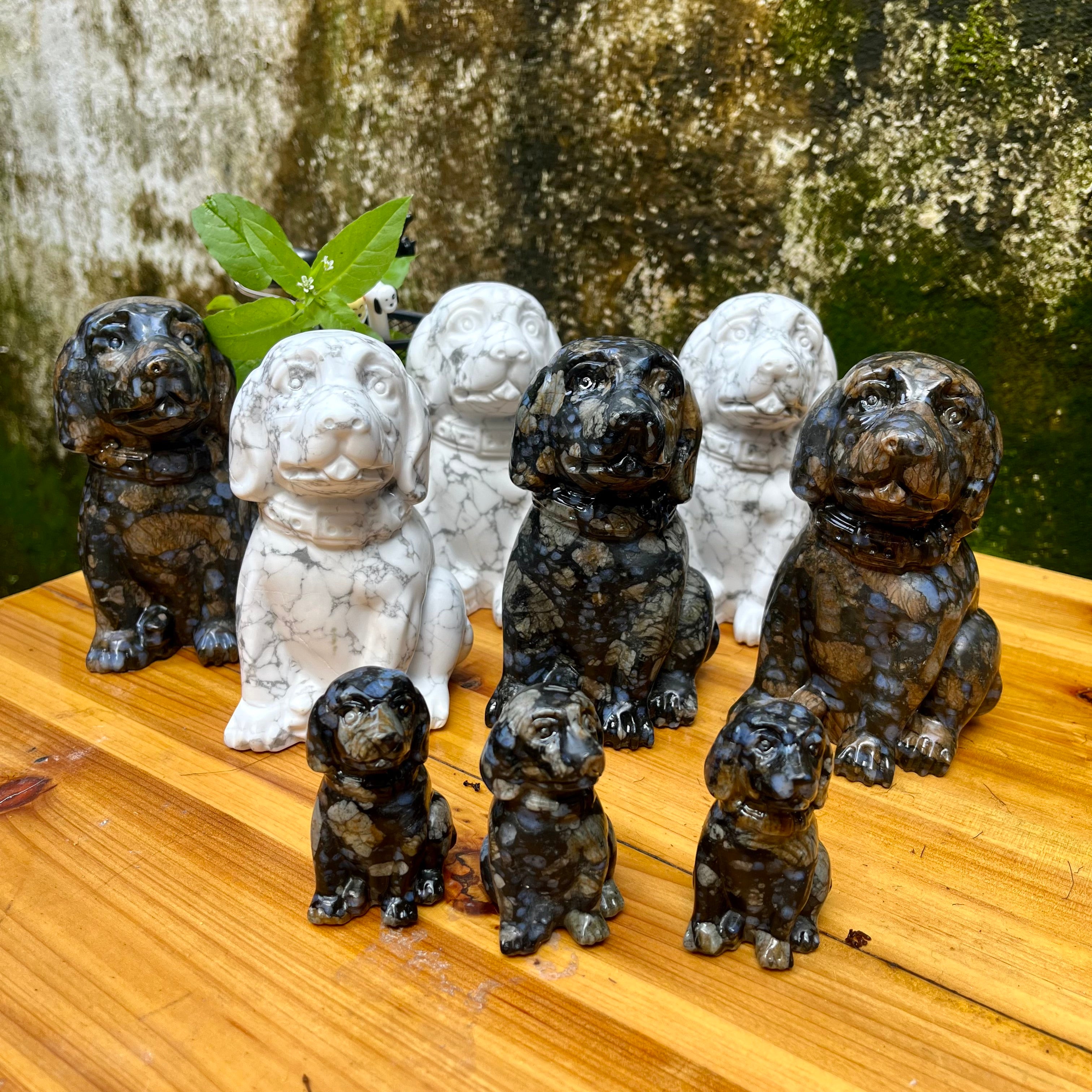 Dog Carving