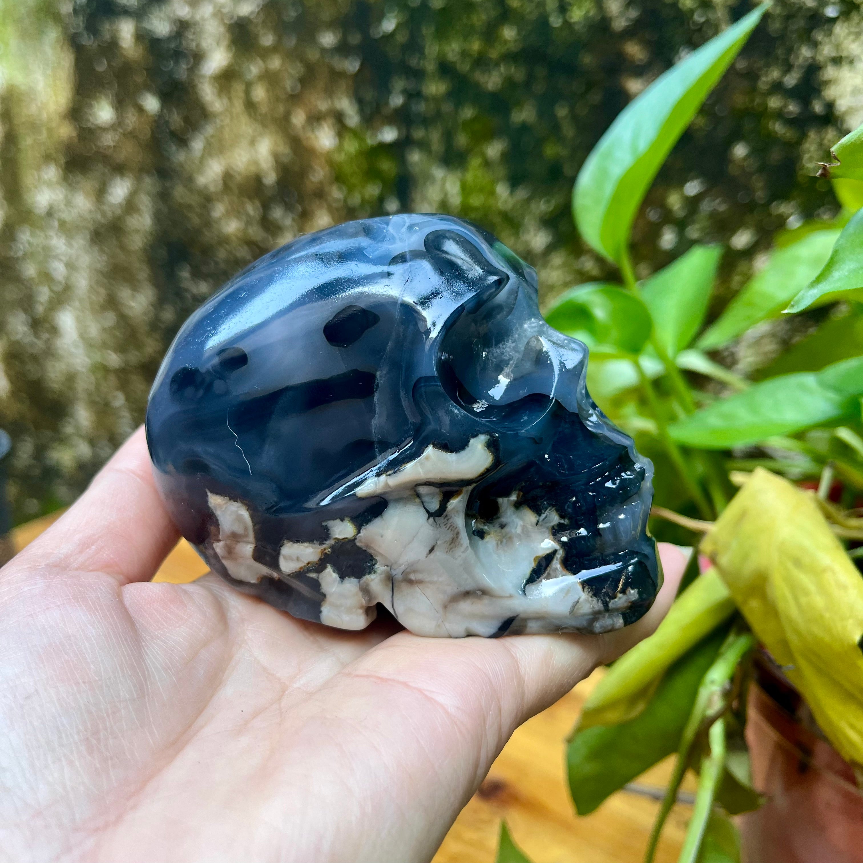 UV Reactive Volcanic Agate Skull Carving