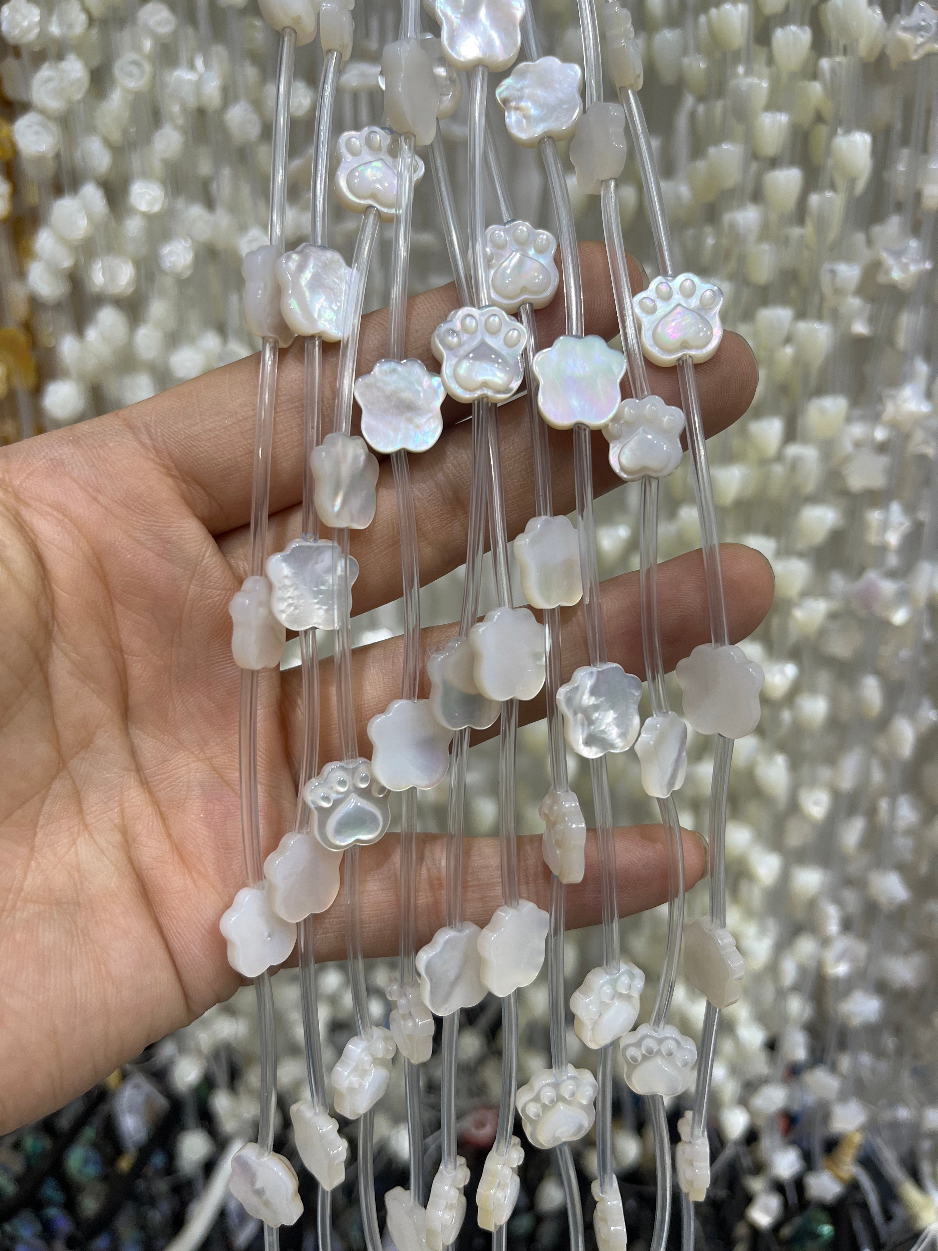 white shell pawprint beads strand