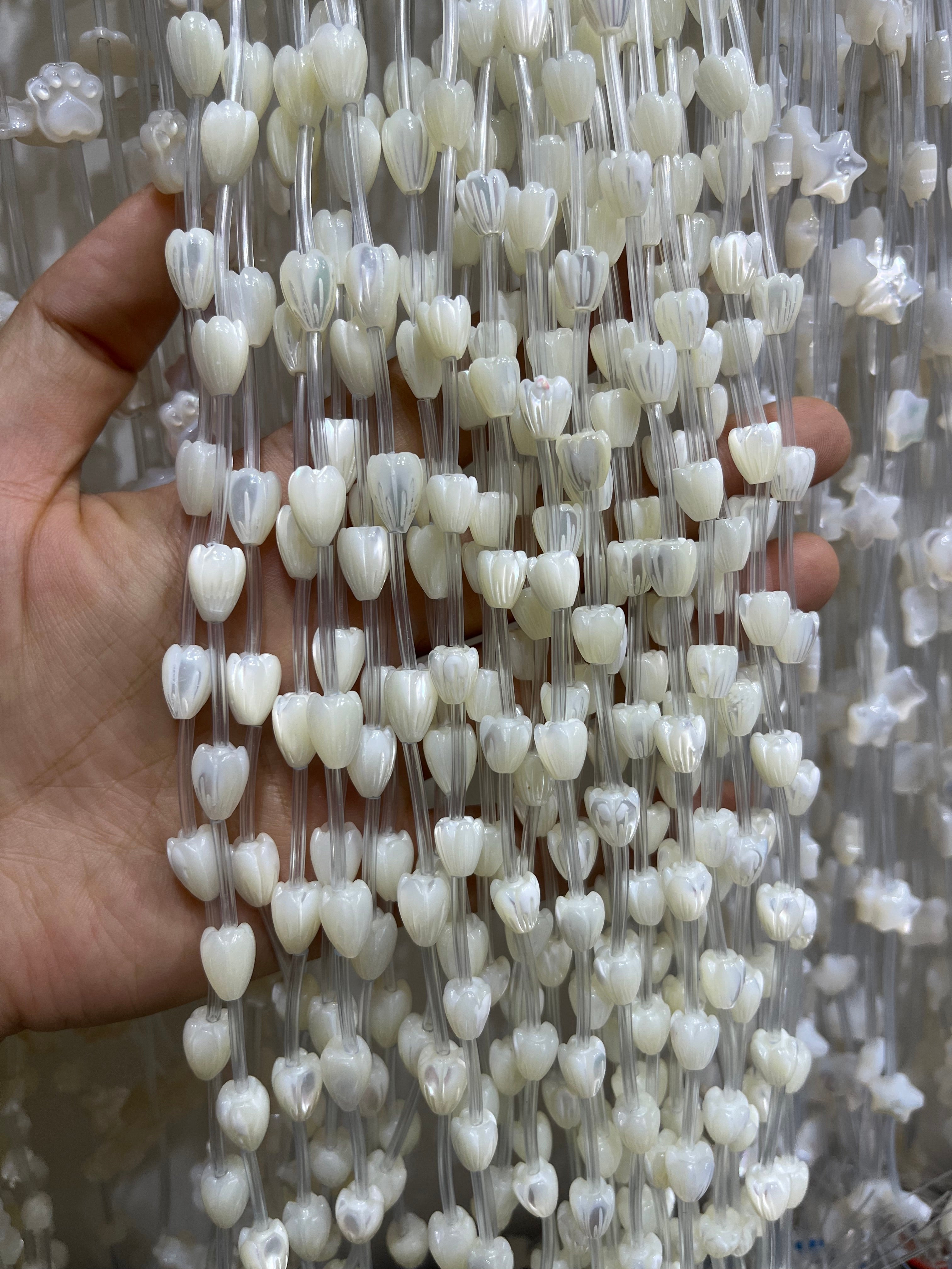 white shell tulip flower beads strand