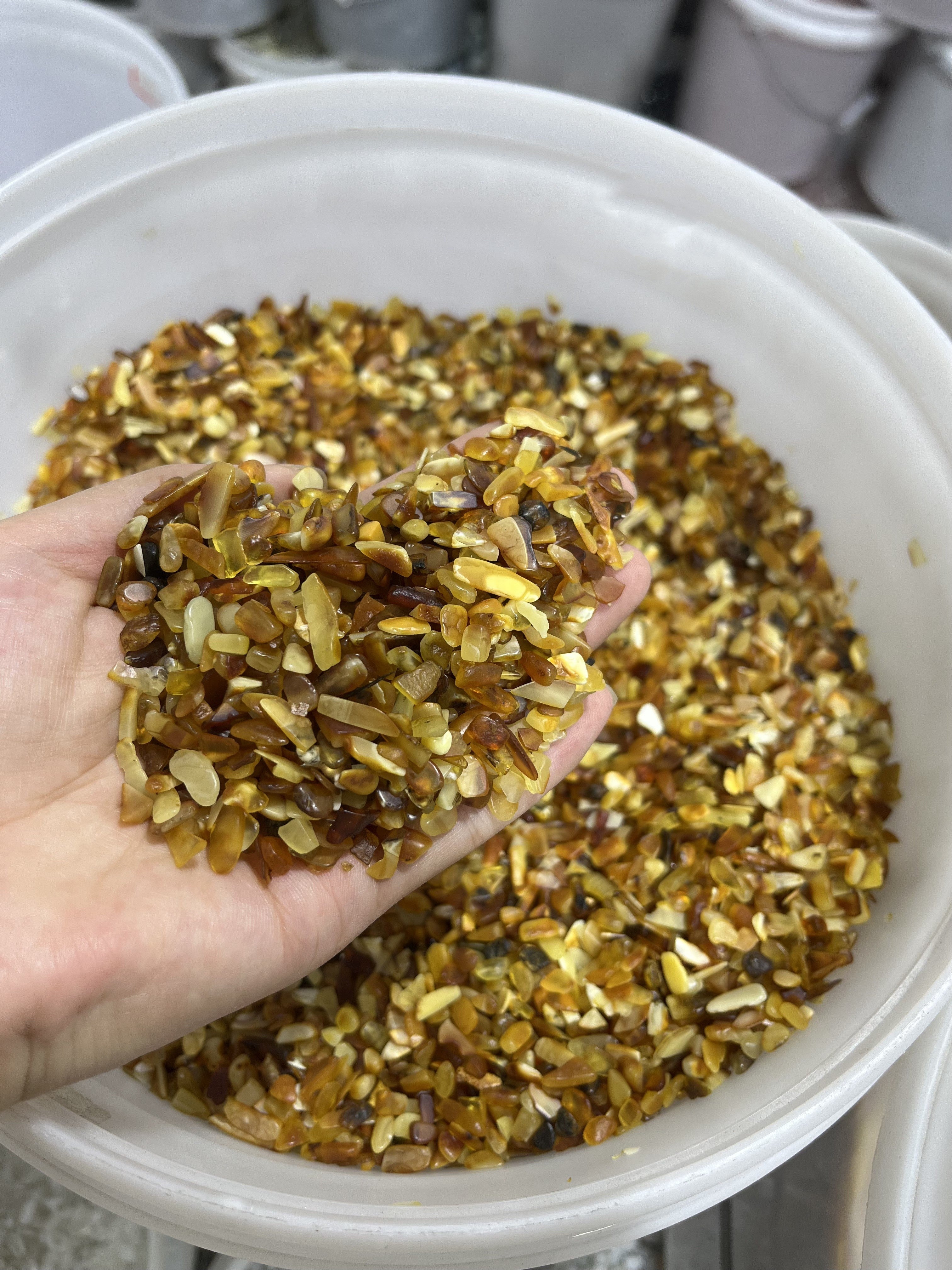 amber chips