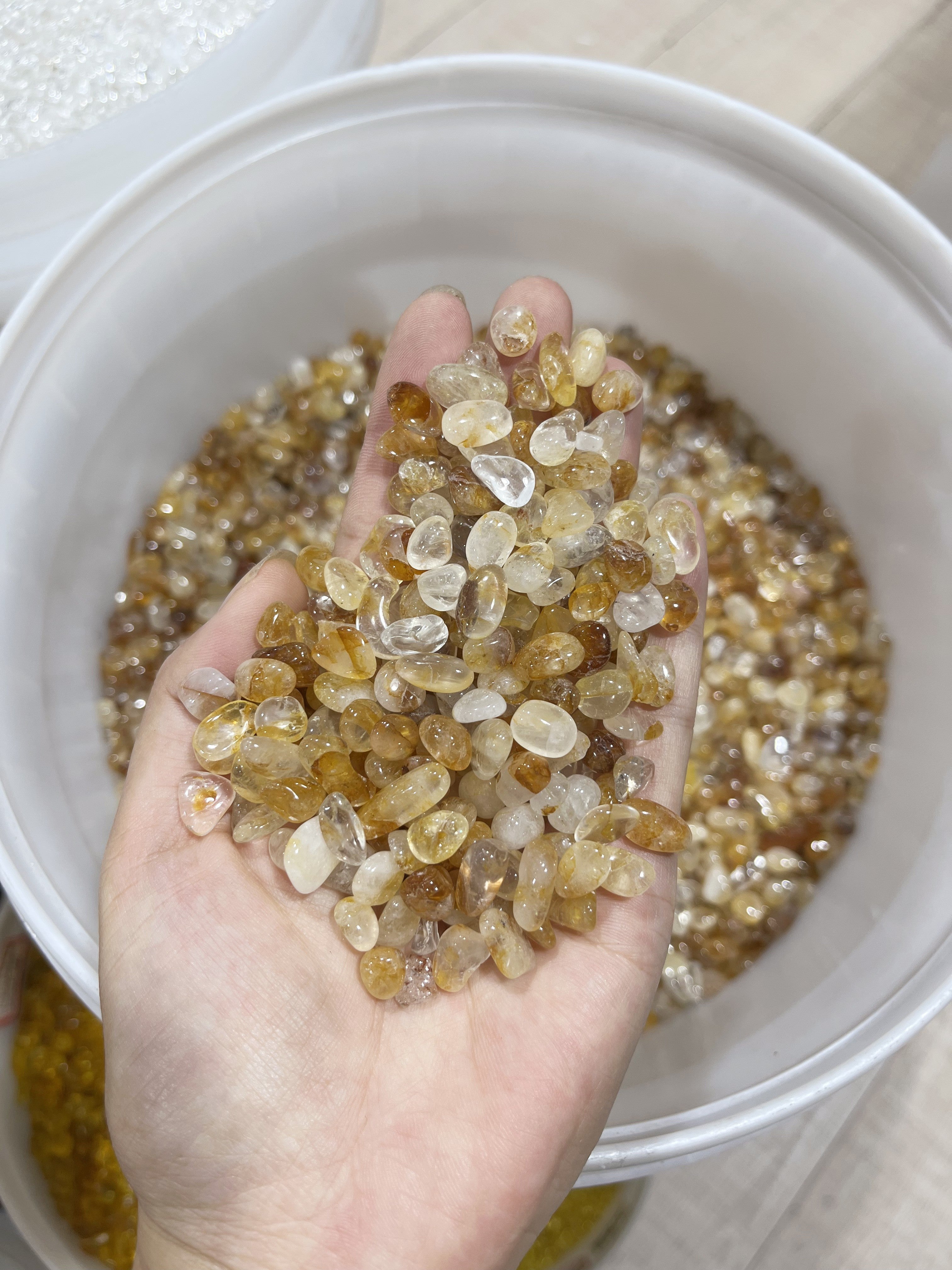 golden healer chips