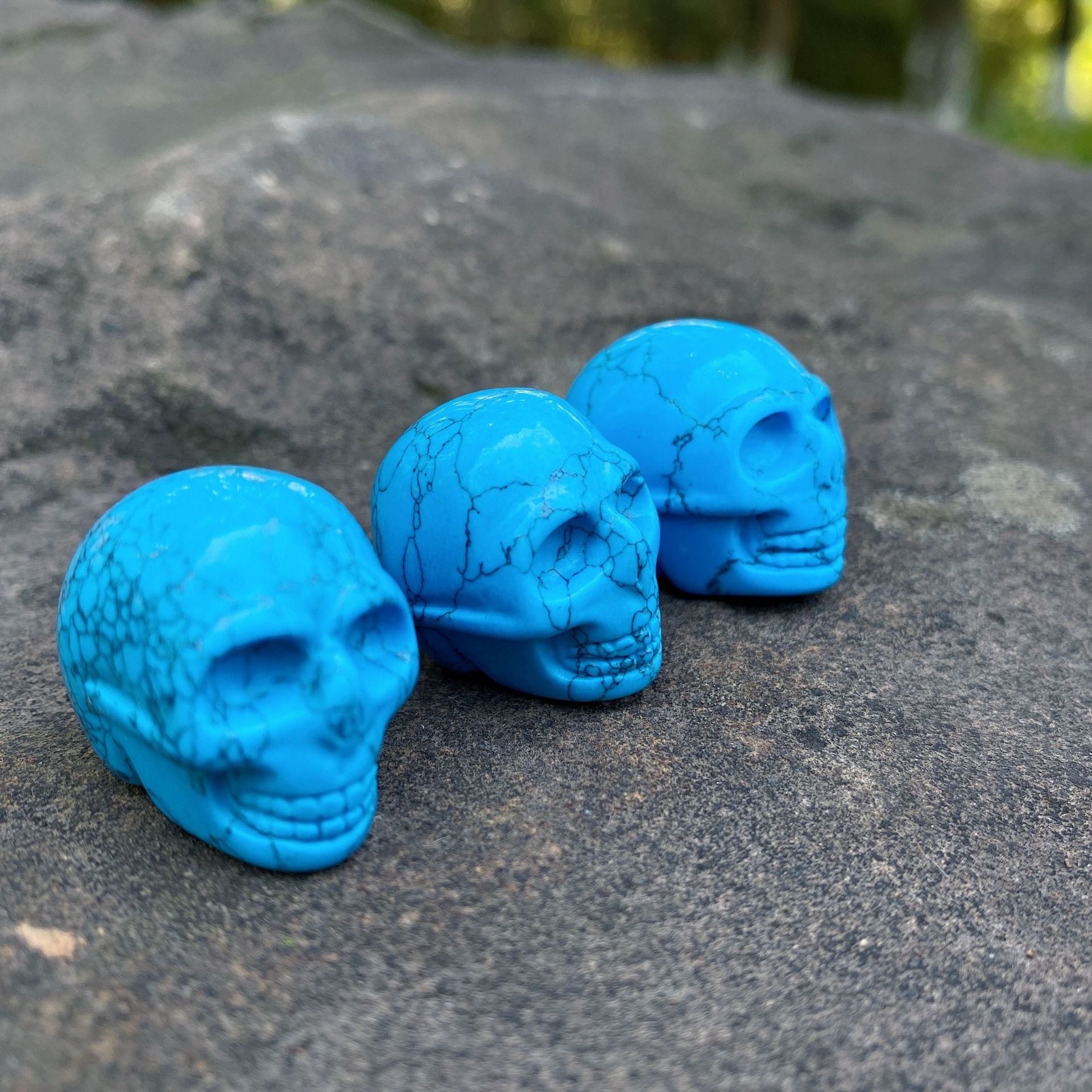Tiny skulls