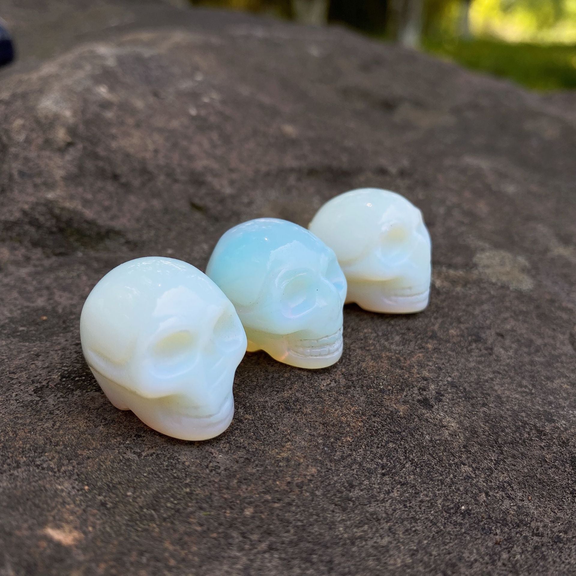 Tiny skulls