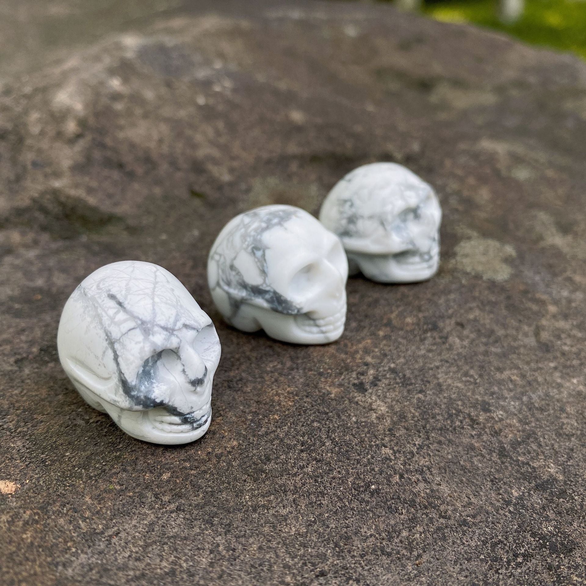 Tiny skulls