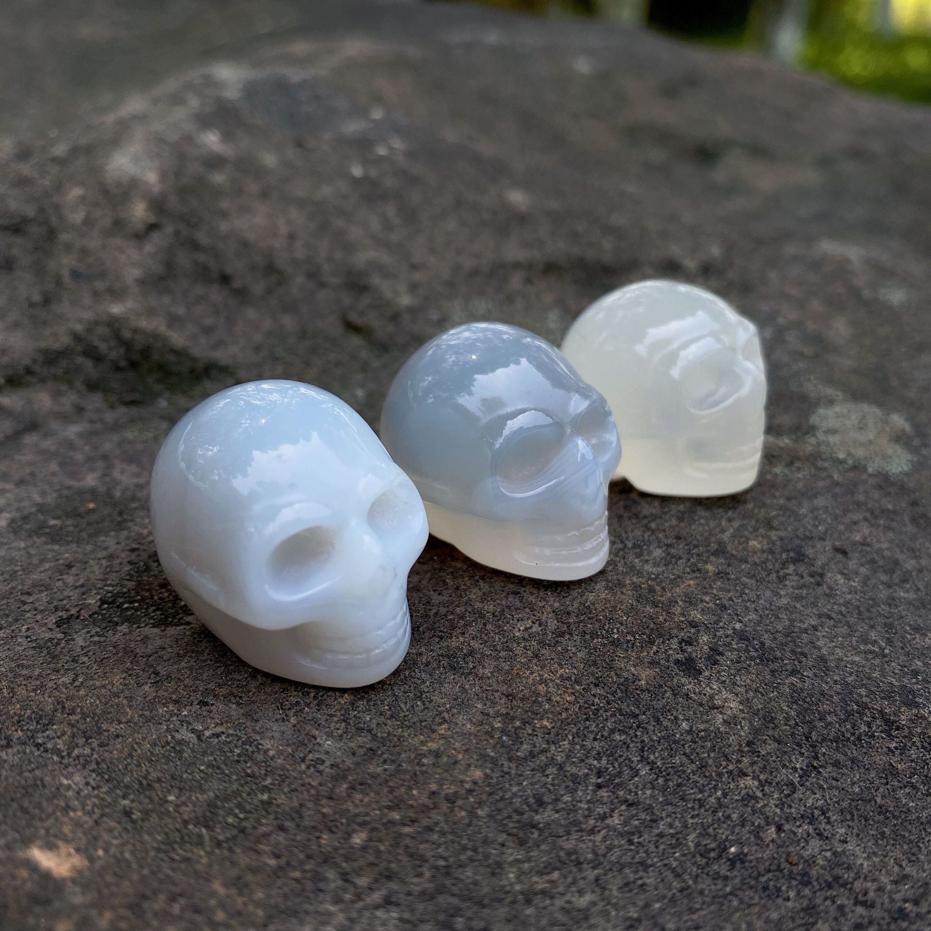 Tiny skulls