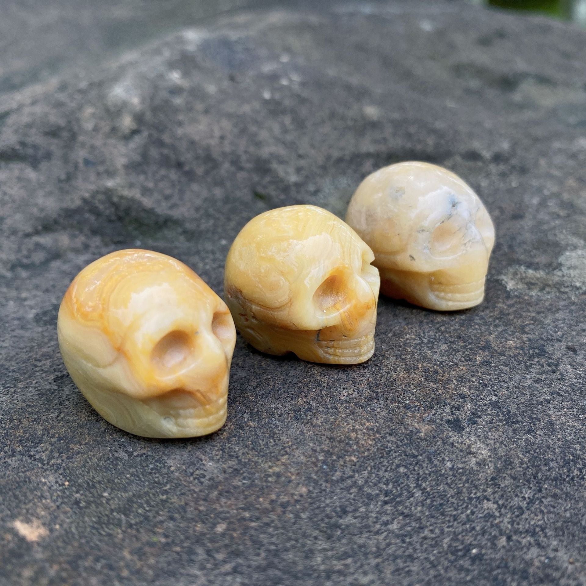 Tiny skulls