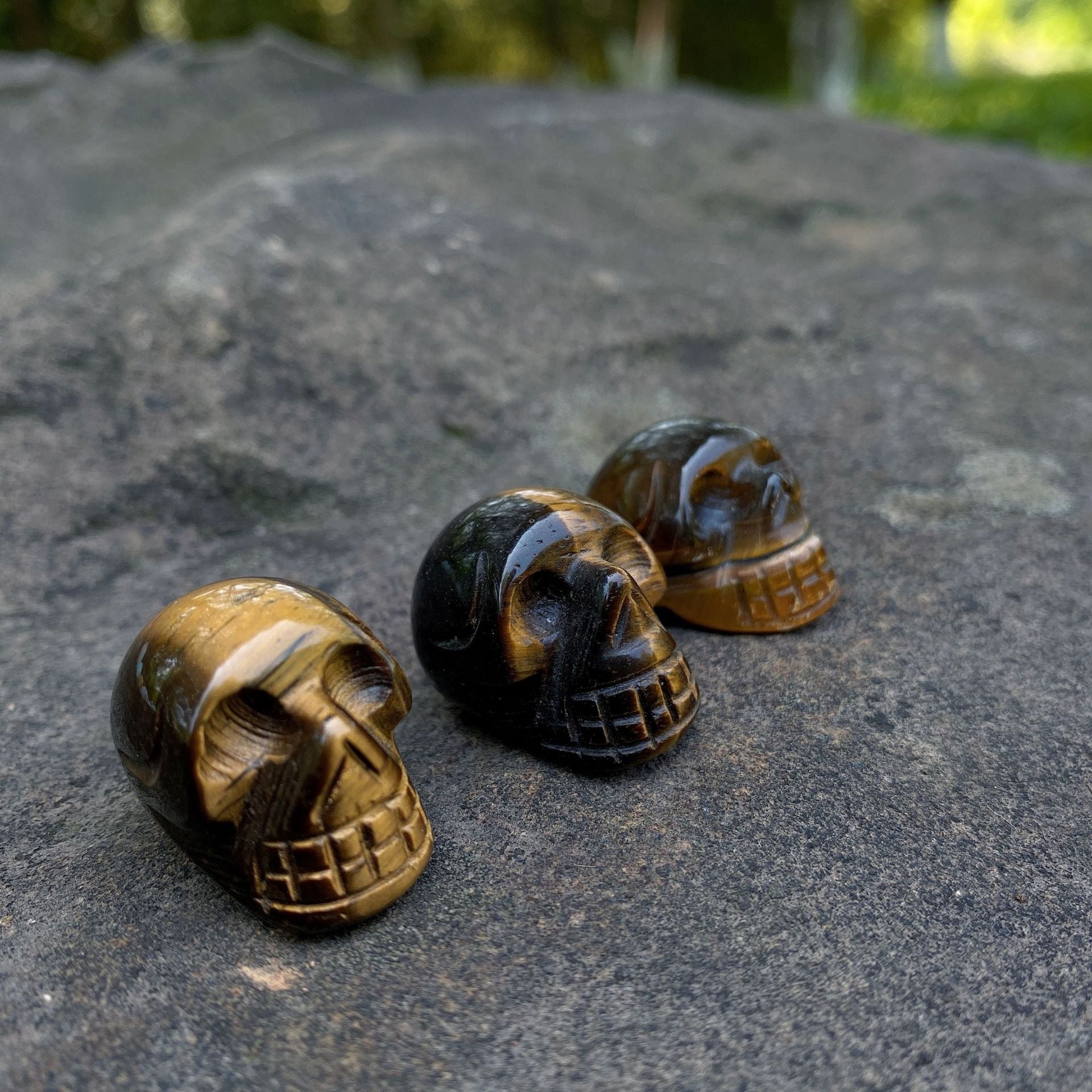 Tiny skulls