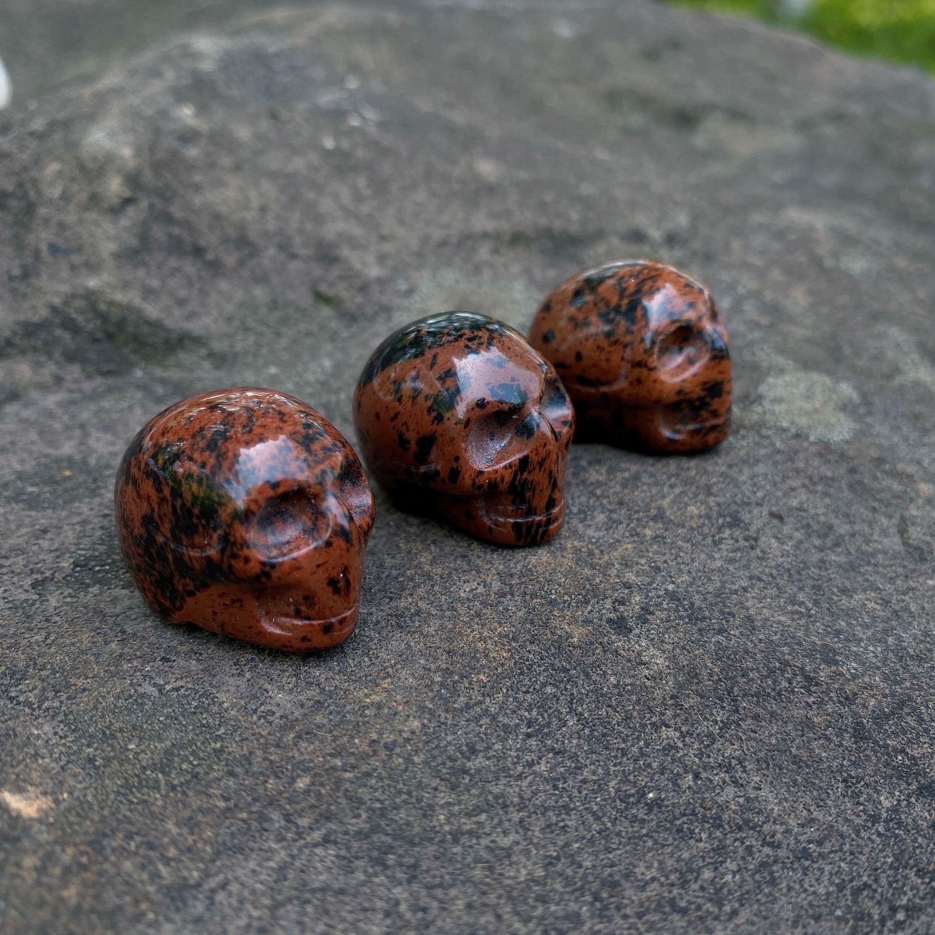 Tiny skulls